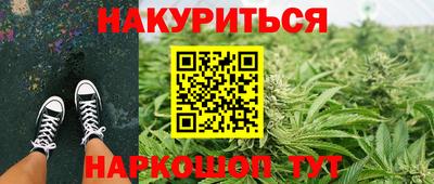 мдпв Кингисепп