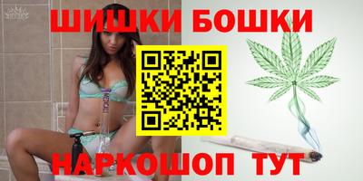 мдпв Кингисепп