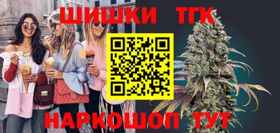 мдпв Кингисепп