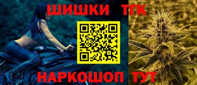 мдпв Кингисепп