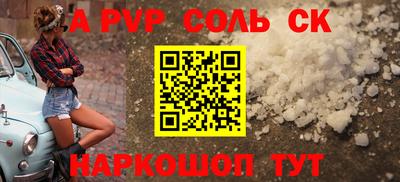 мдпв Кингисепп