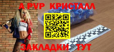 мдпв Кингисепп